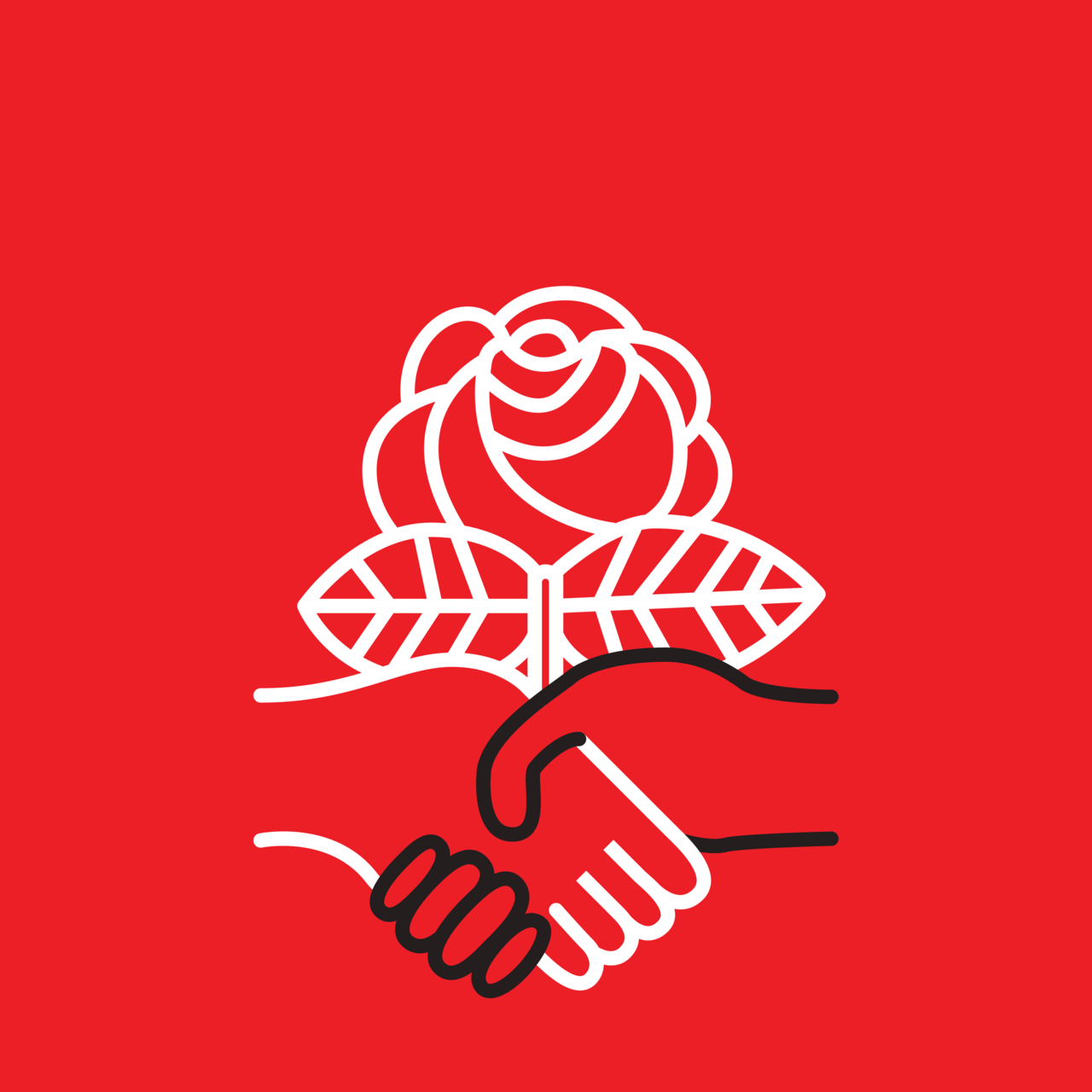 Democratic Socialists of America (DSA)